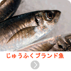 じゅうふくブランド魚