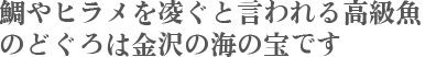 県内外の料理店・居酒屋でも重宝、じゅうふく水産の「金沢のノドグロ」