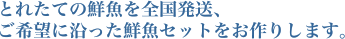 とれたての鮮魚を全国発送、ご希望に沿った鮮魚セットを御作りします